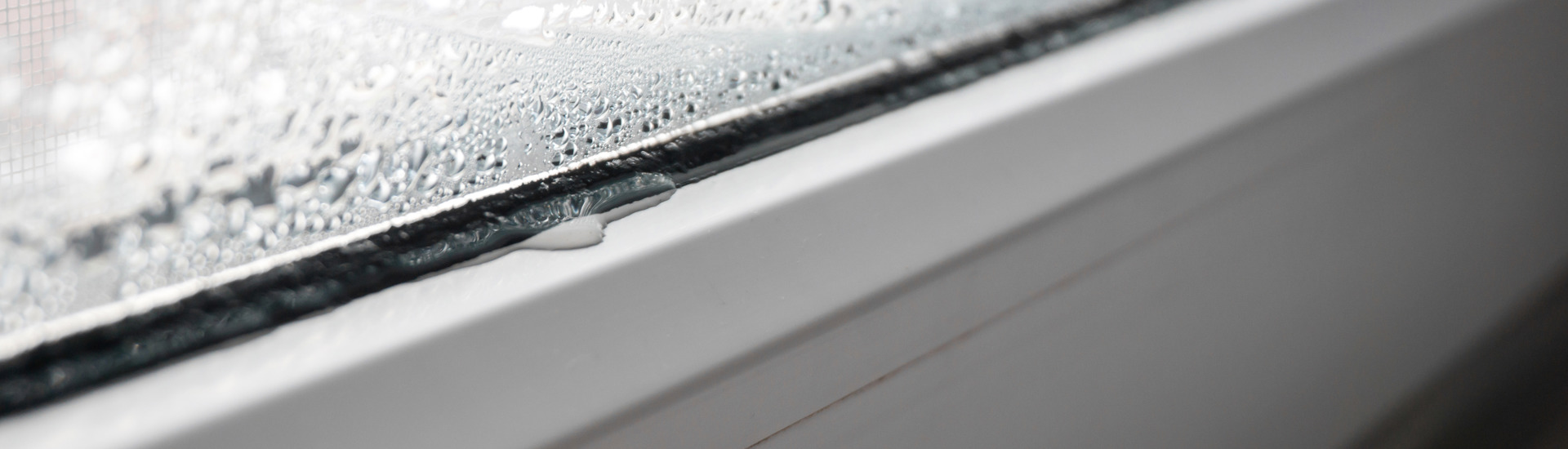 Moist Window